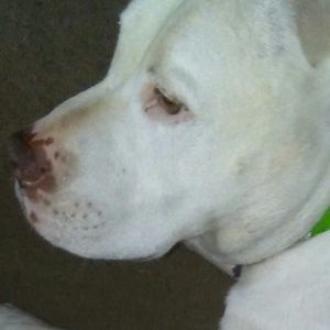 Meet your Posher, Faye